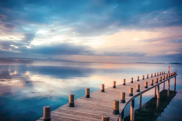 农村美食猪血做法大全