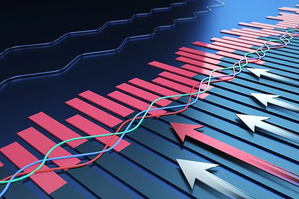 随带美食做法大全简单